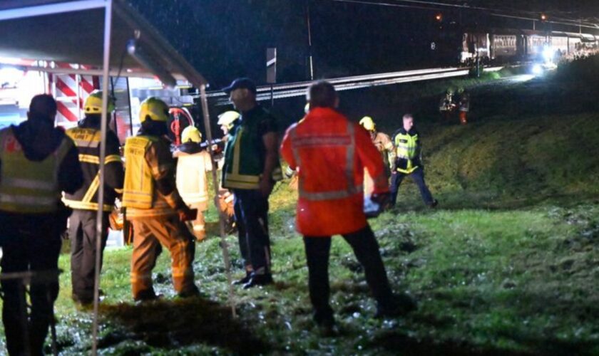 Ein Eurocity fuhr in Bad Endorf gegen einen Baum - verletzt wurde nach Angaben niemand. Foto: Uwe Lein/dpa