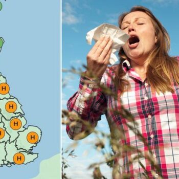 UK weather: 'High' pollen warnings as nine regions brace for hayfever hell - see full list