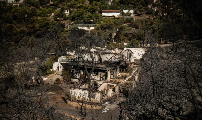 Incendie en Grèce : de premiers progrès observés dans la lutte contre le feu qui menace Athènes