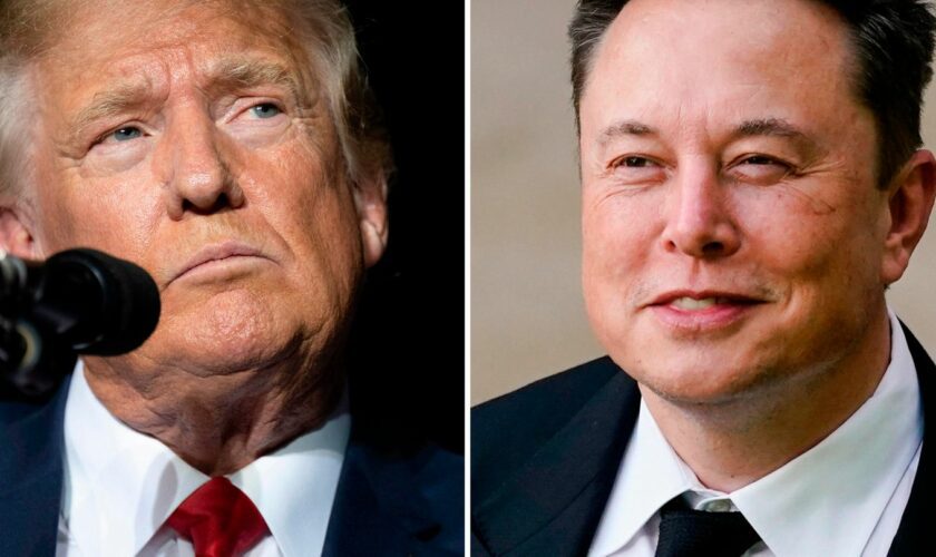 Umstrittenes Gespräch: "Die ganze Zeit gegenseitig gelobt" – US-Experte analysiert Trump-Musk-Plausch