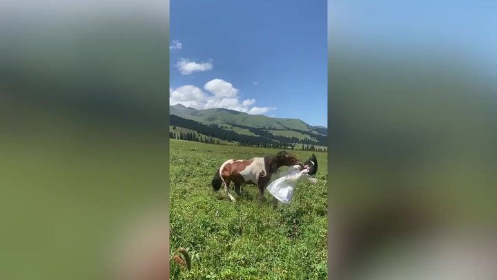 Horse headbutts woman for trying to take photo as it grazes