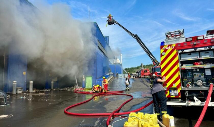 Der Brand in einer Halle einer Entsorgungsfirma in Königs Wusterhausen ist gelöscht. Foto: Julkian Stähle/dpa