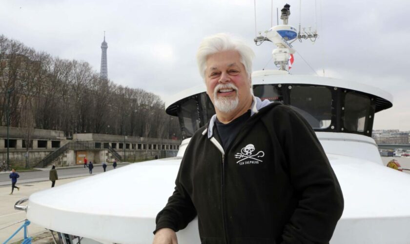 Le militant écologiste Paul Watson devant un juge ce jeudi pour statuer sur sa détention