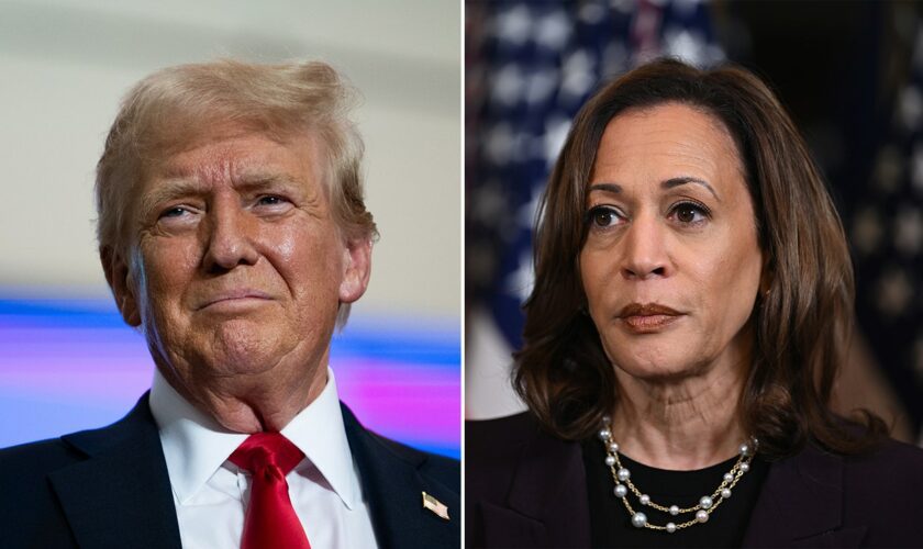 Trump says 'new category' of crime under Biden-Harris administration is 'beyond control'