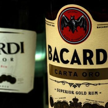 People are left mind-blown after discovering secret meaning behind Bacardi logo