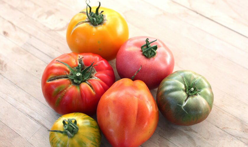 Juteuses et parfumées, ces variétés de tomates sont les meilleures pour vos salades d'été