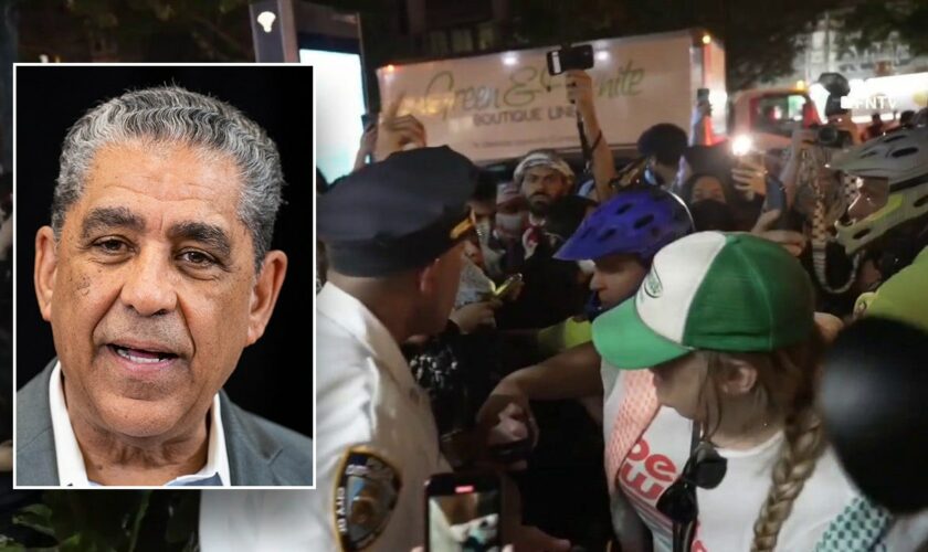 'Cowardly and unacceptable': Progressive NYC Dem condemns violent anti-Israel protest