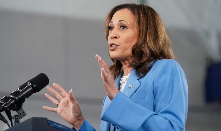 Kamala Harris promises to lower costs as she slams Trump for having ‘no serious plans’ to help middle class