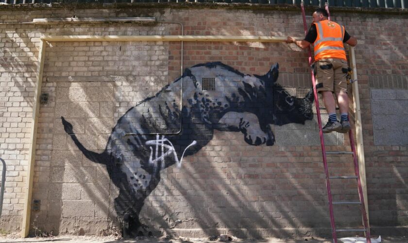 Neun Bilder in neun Tagen: Banksy-Safari in London: Hier sehen Sie alle neuen Kunstwerke im Video