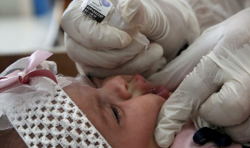 Guerre Israël-Hamas : à Gaza, ces agences de l’ONU réclament une pause pour vacciner un demi-million d’enfants