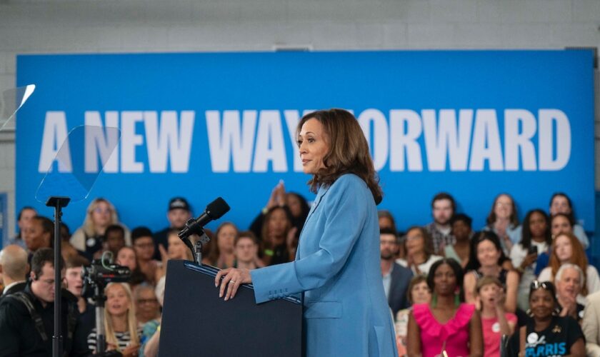 La vice-présidente américaine Kamala Harris dévoile son programme économique pour l'élection présidentielle, le 16 août 2024 à Raleigh (Caroline du Nord, sud)