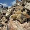 A teddy bear amid the rubble in Kfor near Nabatieh town, Lebanon