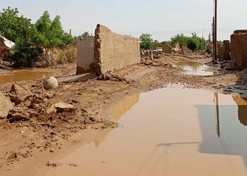 Sudan: Gesundheitsminister ruft Cholera-Epidemie aus