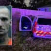 Florida man who hijacked EMS vehicle, took it for a joyride before epic crash accepts plea deal