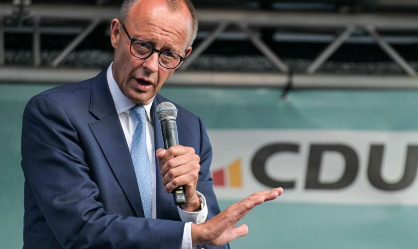 Friedrich Merz: Zusammenarbeit mit AfD "würde die CDU umbringen"