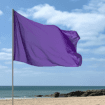 Se baigner est vivement déconseillé si ce drapeau flotte à la plage, mais très peu de gens savent ce qu'il signifie