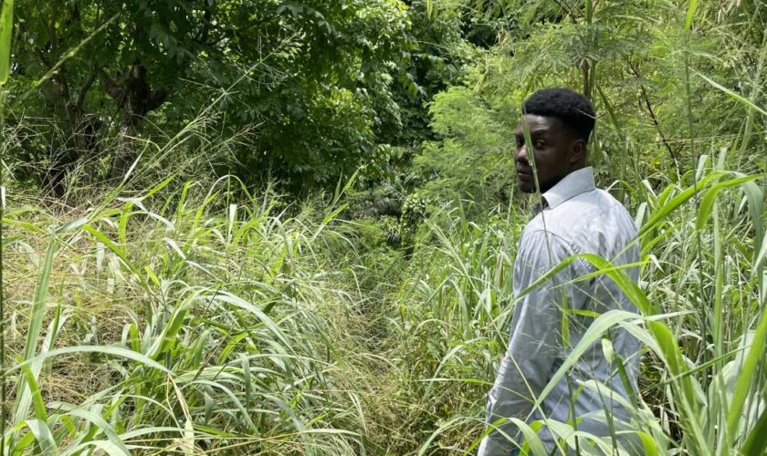 À Sao Tomé, sur les traces des plus anciens domaines sucriers esclavagistes