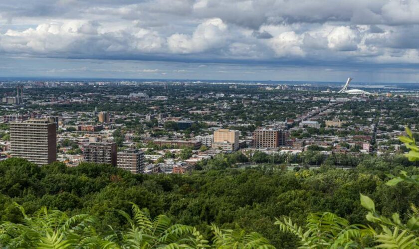 Le Québec serre la vis sur l’immigration temporaire