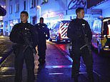 Hunt for German festival knifeman: Woman and two men are stabbed to death with five more seriously wounded in 'brutal and senseless' attacks on random passers-by