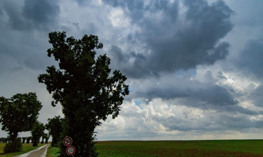 Orages : 19 départements placés en alerte orange samedi