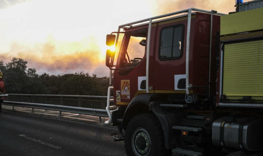 Pyrénées-Orientales : un violent incendie entre Saint-Génis-des-Fontaines et Villelongue-dels-Monts, un camping évacué par précaution