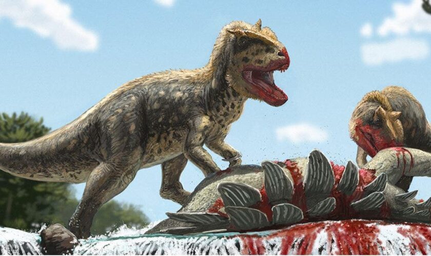 New dinosaur species similar to T. rex found in Asia: 'One of the most significant' discoveries