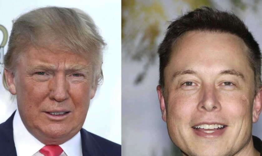 Elon Musk futur ministre de Donald Trump ? L'ancien président américain pourrait lui confier un poste