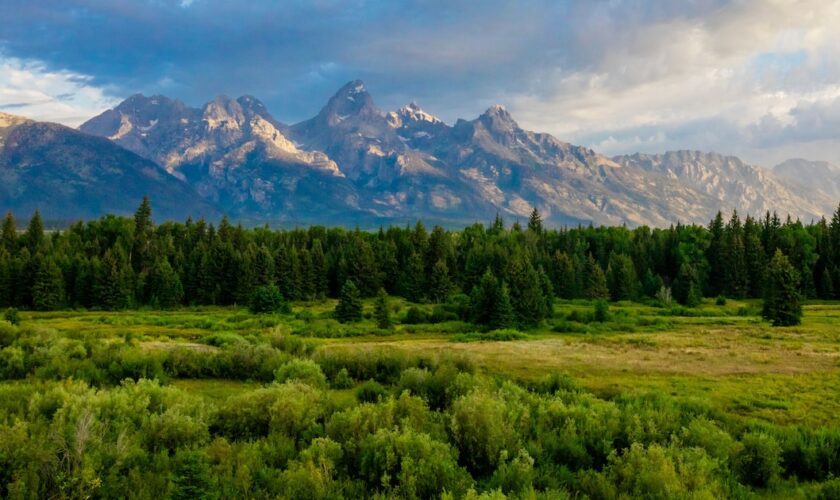 Le symposium de Jackson Hole - rassemblement annuel d'économistes et directeurs de banques centrales - se déroulent au pied de la chaîne de montagne Teton, dans la localité de Jackson, dans l'Etat américain du Wyoming.