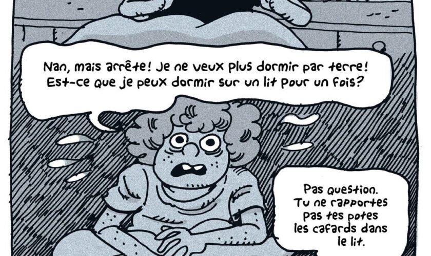 La BD «Maple Terrace» de Noah Van Sciver met le feu aux bourdes