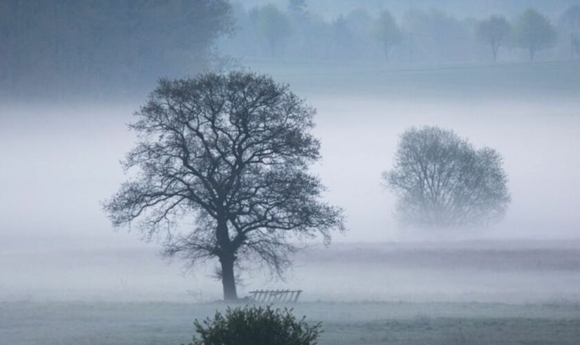 Die Landeslehrstätte für Naturschutz und nachhaltige Entwicklung Mecklenburg-Vorpommern feiert im September 2024 ihr 70-jähriges