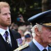 King Charles 'wants Prince Harry back' but another royal is 'major barrier' to peace talks