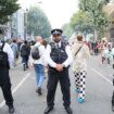 Met Police issue Notting Hill Carnival update after seizing guns