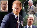 An olive branch from Prince Harry? Duke will FINALLY release his searing memoir Spare in paperback - but, as his father Charles and sister-in-law Kate battle cancer, it WON'T be updated with new bombshells, reveals REBECCA ENGLISH