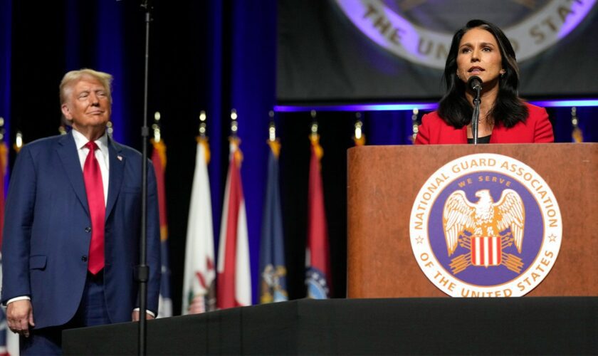 Tulsi Gabbard shares why she endorsed Trump over Kamala Harris: 'Cherish peace and freedom'