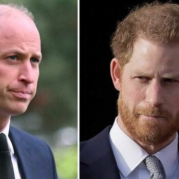 Prince William's shock three-word response to Prince Harry's plea for peace