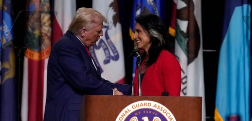 Tulsi Gabbard: Ex-US-Demokratin unterstützt Donald Trump für Wahl 2024