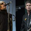 "Oasis n’existe plus" : il y a 15 ans à Rock en Seine, le clash de trop entre les frères Gallagher