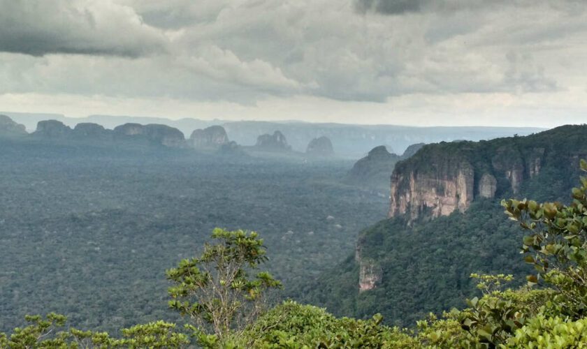 En Colombie, la “chapelle sixtine de l’Amazonie” victime de la déforestation