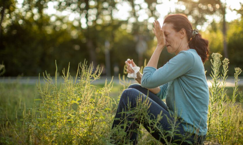 Pollens : dans ces 12 départements en alerte rouge, les personnes allergiques vont vivre un mardi infernal