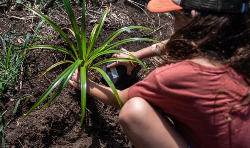 Service civique écologique : fonctionnement, missions, inscription… Qu’est-ce que le dispositif lancé ce mardi 27 août ?