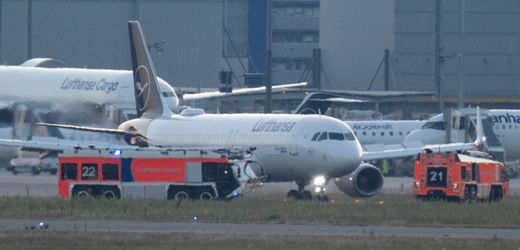 Flughafen Frankfurt: Vogelschlag zwingt Lufthansa-Maschine zur Umkehr