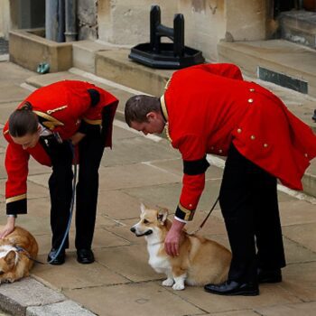 Sarah Ferguson celebrates Queen Elizabeth’s corgis on International Dog Day