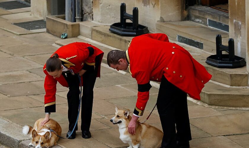 Sarah Ferguson celebrates Queen Elizabeth’s corgis on International Dog Day