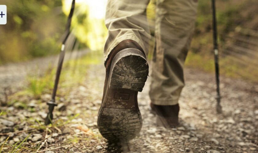 Trekking-Stöcke als Hilfe: Wie es sich leichter laufen lässt