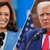 Harris gains on Trump on economy and crime, poll finds