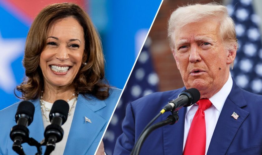 Harris gains on Trump on economy and crime, poll finds