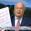 Karl Rove cautions Democrats about Harris' slim polling lead: 'Nowhere near ahead'