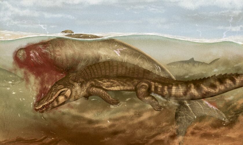 Ancient sea cow was attacked by crocodile and scavenged by shark – study