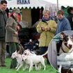 When Princess Anne's pooch landed her in the doghouse: Royal was summoned to court in 2002 after Dotty the English Bull Terrier bit two children... and then savaged the Queen's corgi