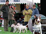 When Princess Anne's pooch landed her in the doghouse: Royal was summoned to court in 2002 after Dotty the English Bull Terrier bit two children... and then savaged the Queen's corgi